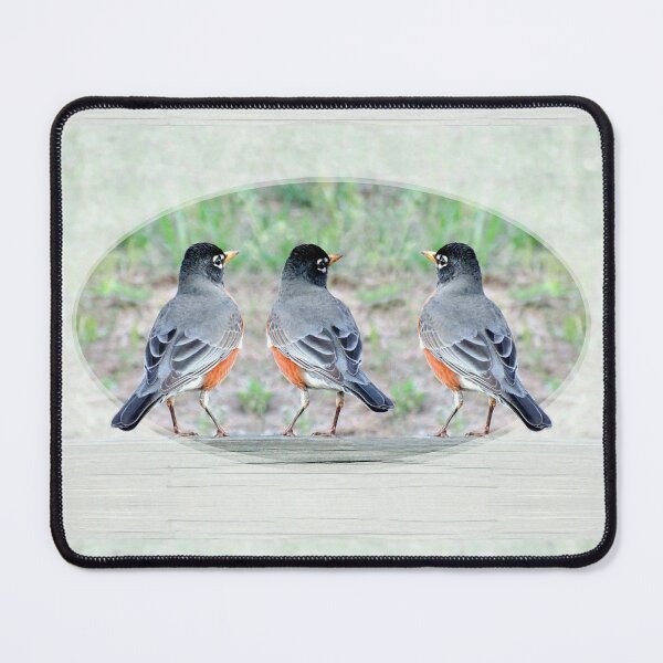 Item preview, Which Way Spring Today? designed and sold by Jean Gregory Evans.