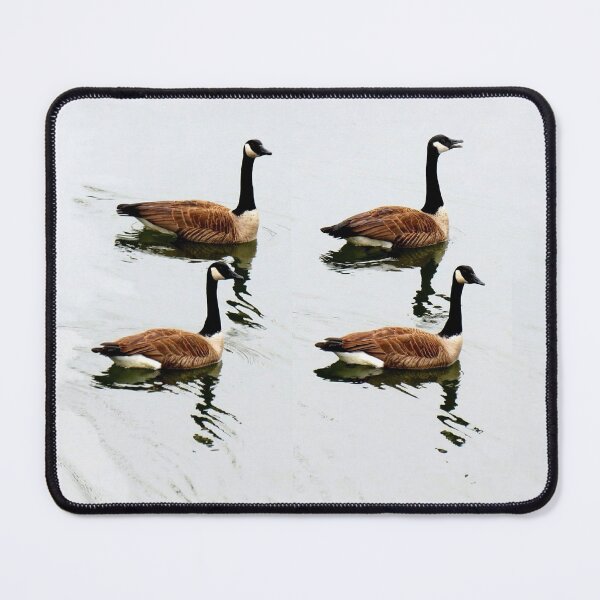 Item preview, Morning Song designed and sold by Jean Gregory Evans.