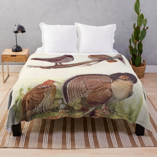 Item preview, Grouse illustration designed and sold by Vintage Designs +.