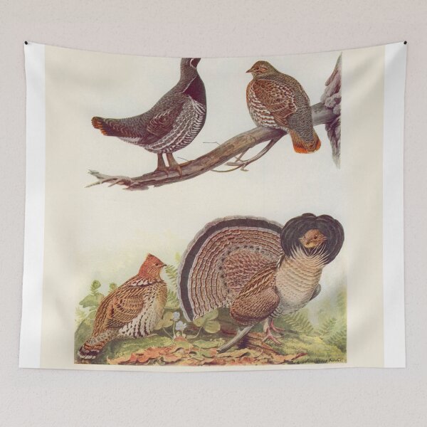 Item preview, Grouse illustration designed and sold by Vintage Designs +.