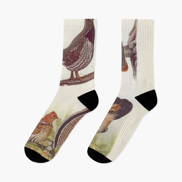 Item preview, Grouse illustration designed and sold by Vintage Designs +.