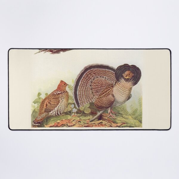 Item preview, Grouse illustration designed and sold by Vintage Designs +.