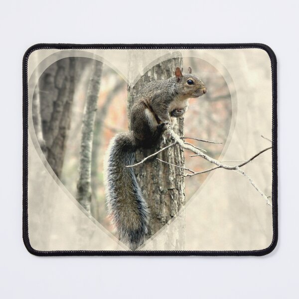 Item preview, My Little Squirrelly Heart designed and sold by Jean Gregory Evans.