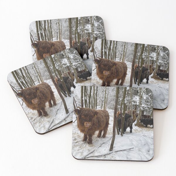 Item preview, Scottish Highland Cattle Calves in snow 2705 designed and sold by SaarelaHighland.