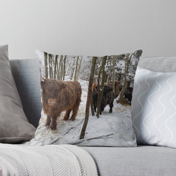 Artikelvorschau, Scottish Highland Cattle Calves in snow 2705 entworfen und verkauft von SaarelaHighland.