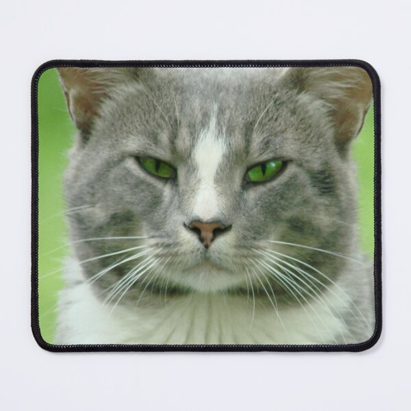Item preview, Please, Please, please ... please? designed and sold by Jean Gregory Evans.