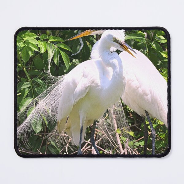 Item preview, The Adoring Egret Couple designed and sold by LisaWootenPhoto.