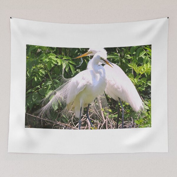 Item preview, The Adoring Egret Couple designed and sold by LisaWootenPhoto.