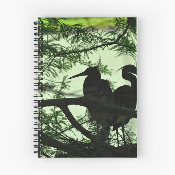 Item preview, Great Egret Silhouettes In Green designed and sold by LisaWootenPhoto.