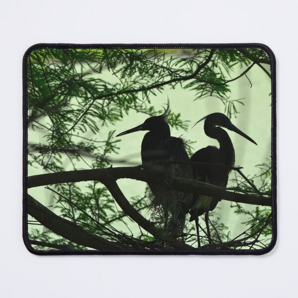Item preview, Great Egret Silhouettes In Green designed and sold by LisaWootenPhoto.