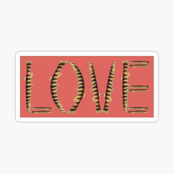 Kuhli Loach Coolie Love Aquarium Fish Aquarist Gift Sticker