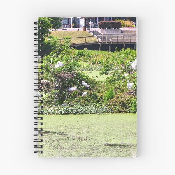 Item preview, Great Egret Island designed and sold by LisaWootenPhoto.