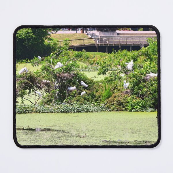 Item preview, Great Egret Island designed and sold by LisaWootenPhoto.