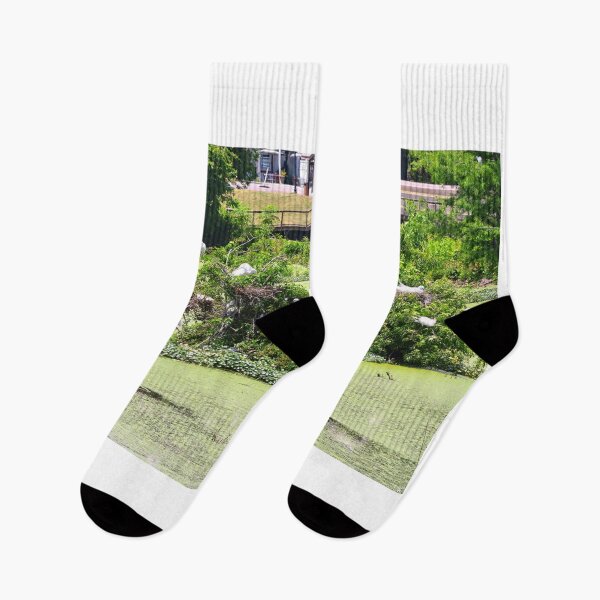 Item preview, Great Egret Island designed and sold by LisaWootenPhoto.