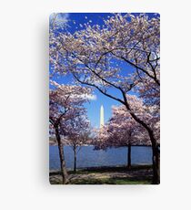 Washington Monument Through Cherry Blossoms Canvas Print