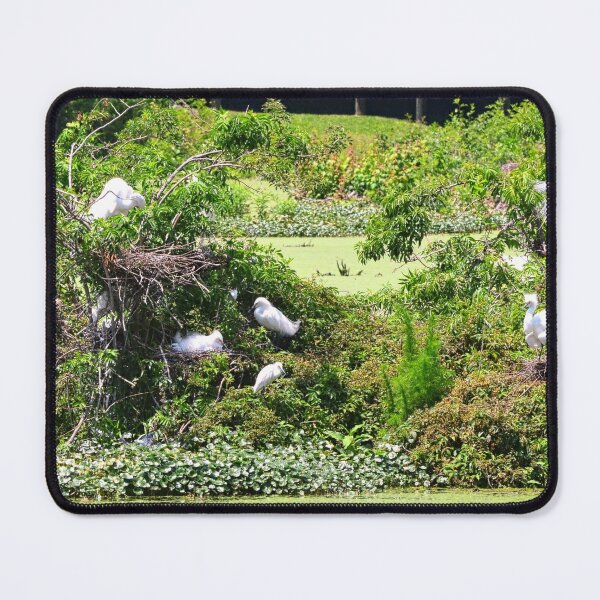 Item preview, Great Egret Island Panorama designed and sold by LisaWootenPhoto.