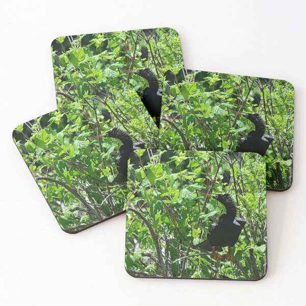 Item preview, Anhinga designed and sold by LisaWootenPhoto.