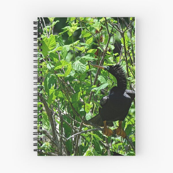 Item preview, Anhinga designed and sold by LisaWootenPhoto.