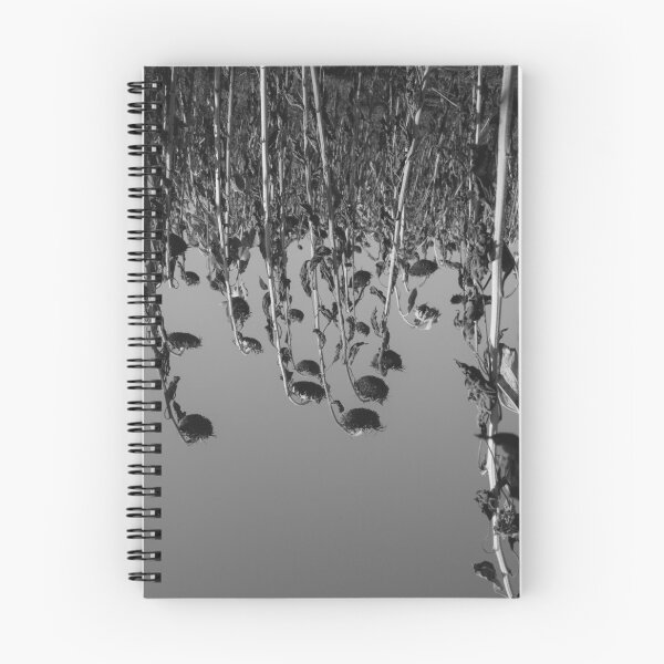 Item preview, Field of Sunflowers designed and sold by noisiaz.