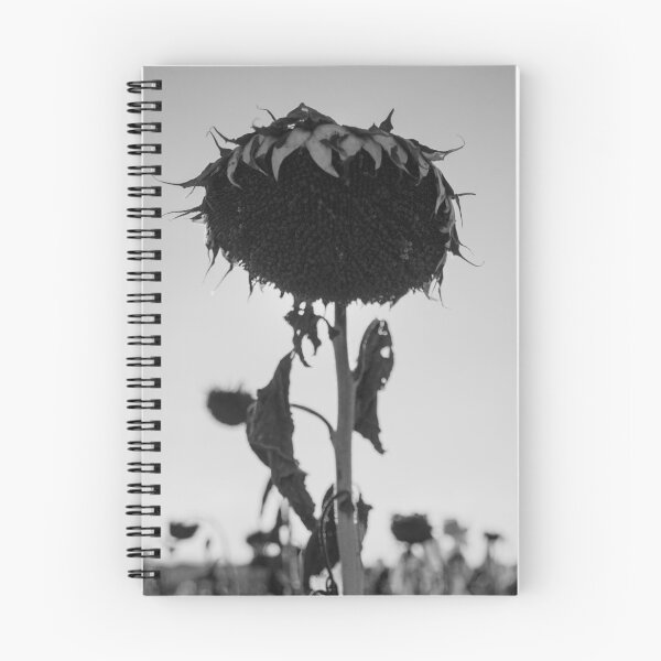 Item preview, Sunflower designed and sold by noisiaz.