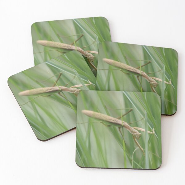 Item preview, Praying Mantis in the Grass designed and sold by LisaNaturePhoto.