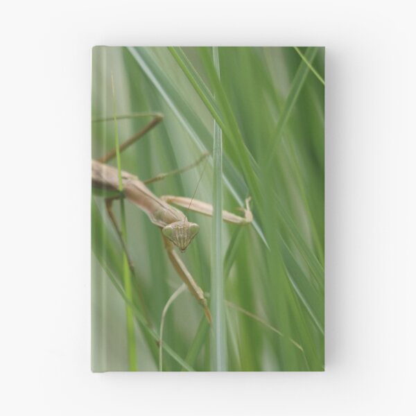 Item preview, Praying Mantis in the Grass designed and sold by LisaNaturePhoto.