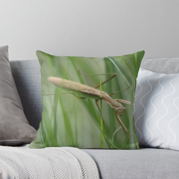 Item preview, Praying Mantis in the Grass designed and sold by LisaNaturePhoto.