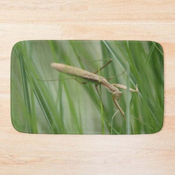 Item preview, Praying Mantis in the Grass designed and sold by LisaNaturePhoto.