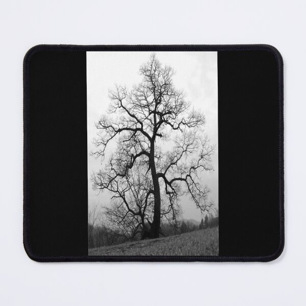 Item preview, a great old tree designed and sold by Jean Gregory Evans.