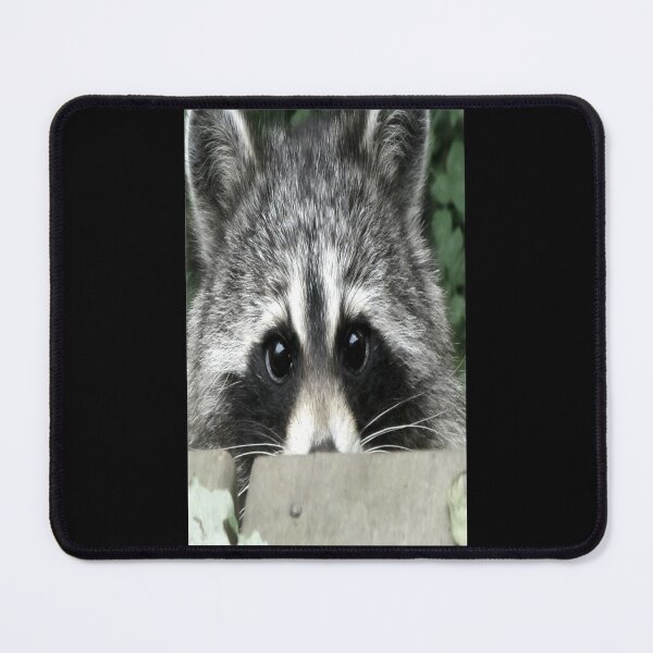 Item preview, Shyly Hoping designed and sold by Jean Gregory Evans.