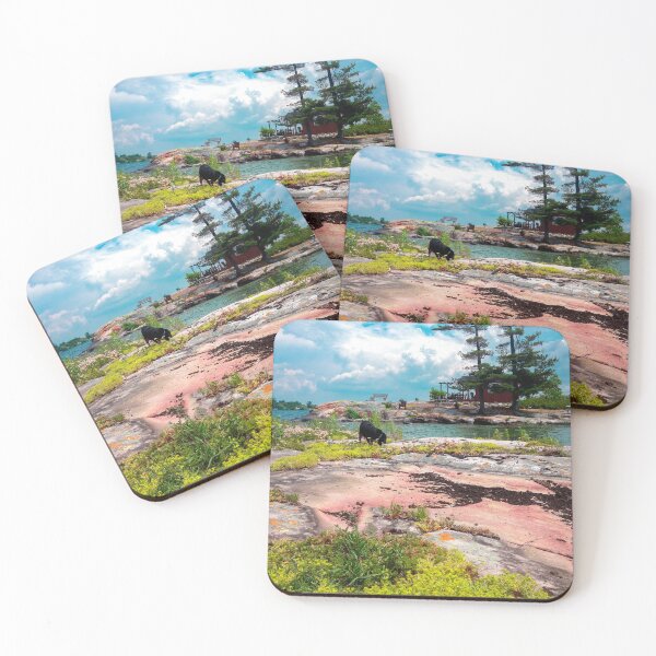 Item preview, View From Bird Roost Island (Teal & Pink) designed and sold by SaraMargolis.