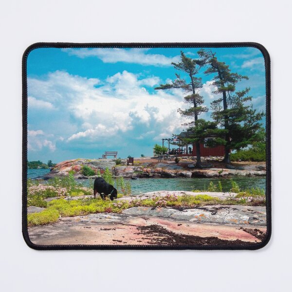 Item preview, View From Bird Roost Island (Teal & Pink) designed and sold by SaraMargolis.