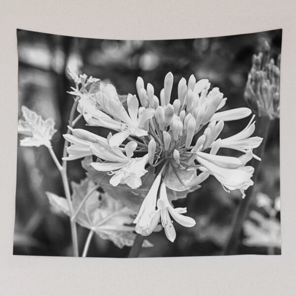 Item preview, White Lily of the Nile B&W designed and sold by NunoPires.