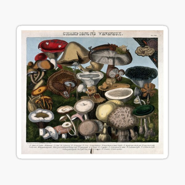 Item preview, Poisonous Mushrooms designed and sold by BlueSpecsStudio.