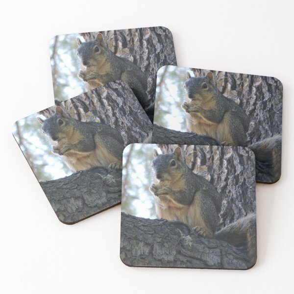 Item preview, The Squirrel  designed and sold by SmolPotat7.