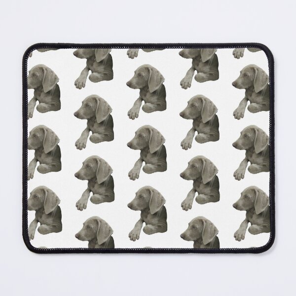 Item preview, Lio the Weimaraner Serious Puppy Face designed and sold by AndApArt.