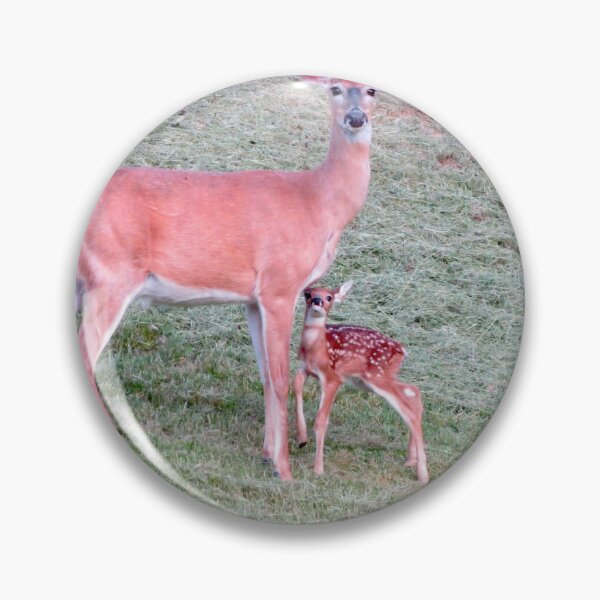 Item preview, Whitetail doe and new fawn designed and sold by Susie Cunningham.