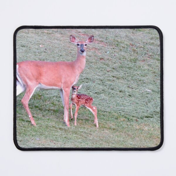 Item preview, Whitetail doe and new fawn designed and sold by Susie Cunningham.