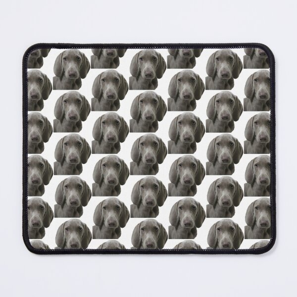 Item preview, Serious Look Weimaraner Puppy Face Front designed and sold by AndApArt.