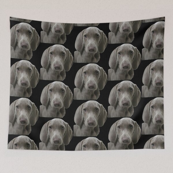 Item preview, Serious Look Weimaraner Puppy Face Front designed and sold by AndApArt.