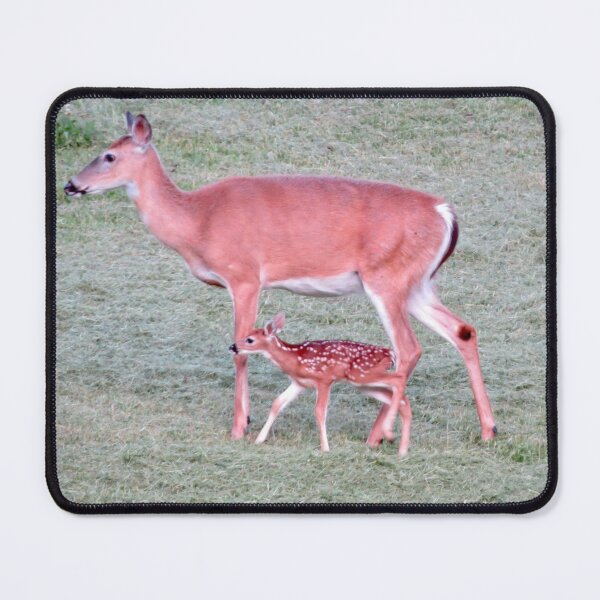 Item preview, Whitetail doe walking with newborn fawn designed and sold by Susie Cunningham.