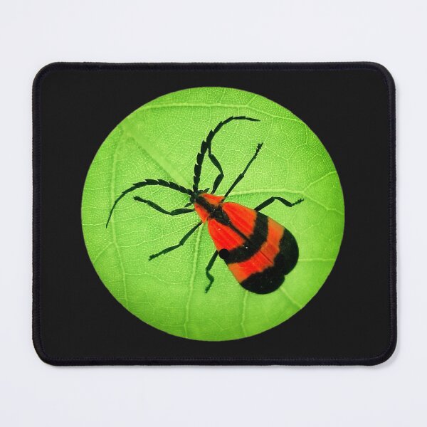 Item preview, Buggy Christmas designed and sold by Dead-Moroz.