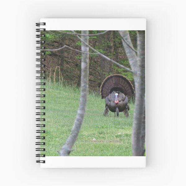 Item preview, Tom turkey designed and sold by Susie Cunningham.