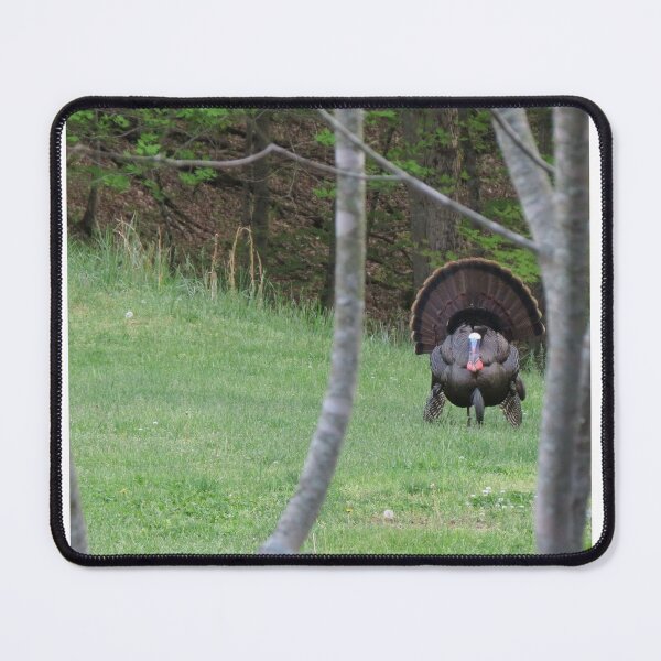 Item preview, Tom turkey designed and sold by Susie Cunningham.