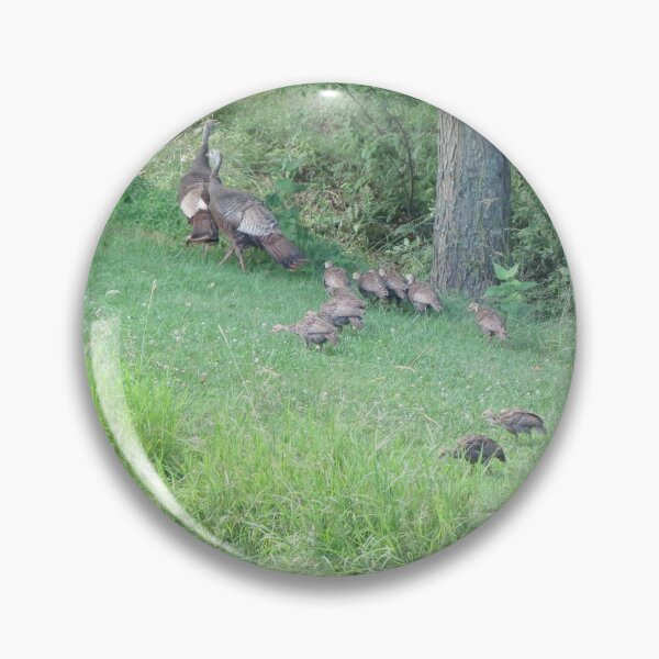 Item preview, Turkey family designed and sold by Susie Cunningham.