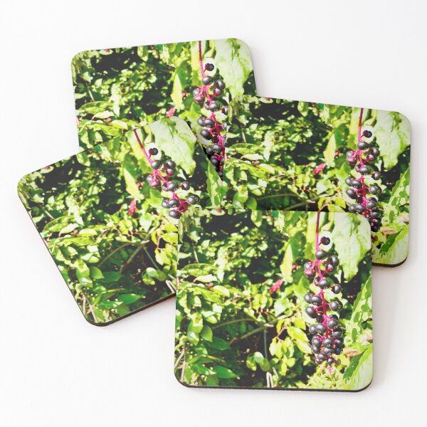 Item preview, Common Pokeweed Nature designed and sold by lisaamakye.