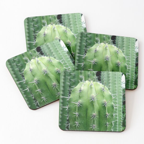 Item preview, Green cactus with spines designed and sold by ClumsyCat.