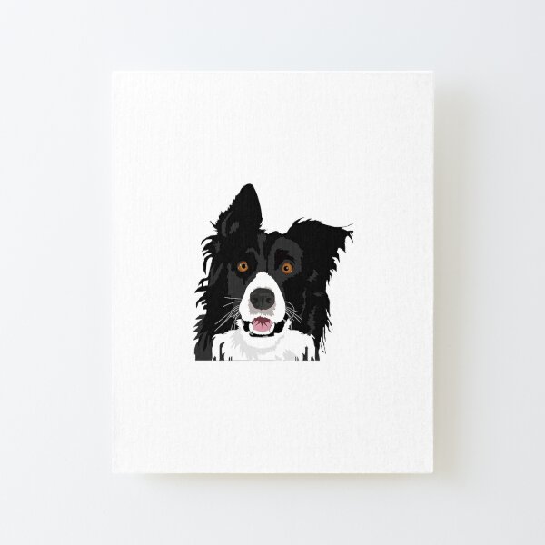 Wandbilder: Collie