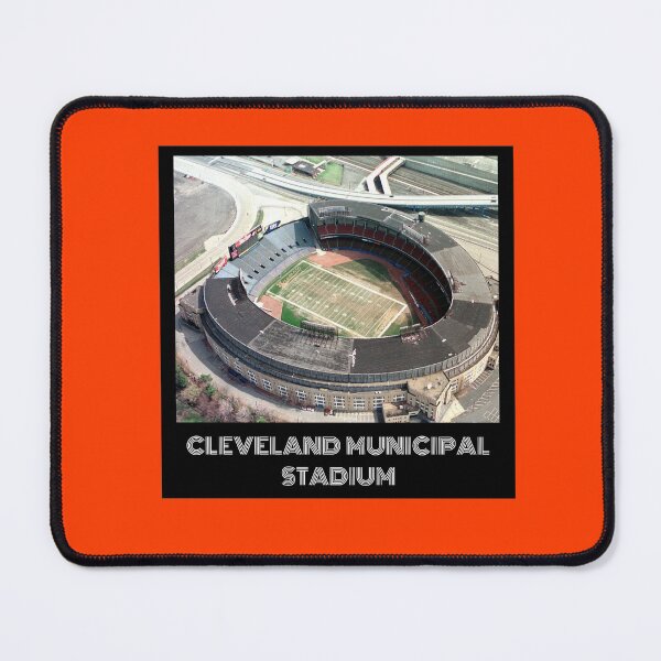 3D Prnted Cleveland Browns Standing Logo 