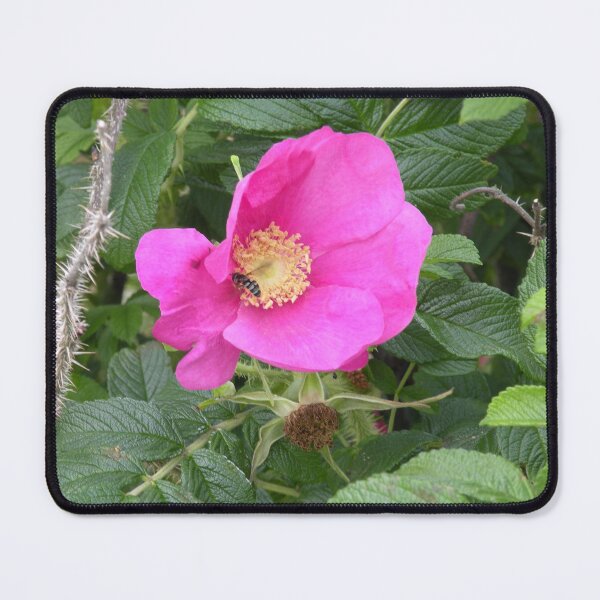 Item preview, Beeutiful designed and sold by Walter Sonny Manser.